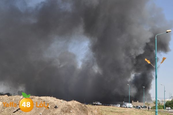 fireramlasejn4288 (4).JPG